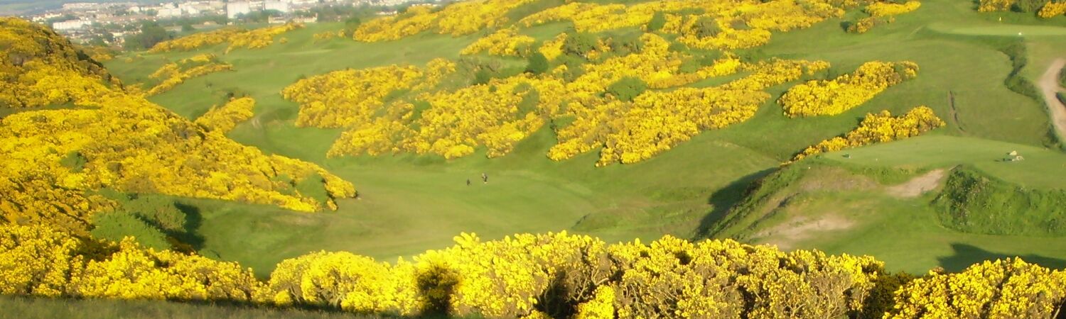 Braids Golf Course